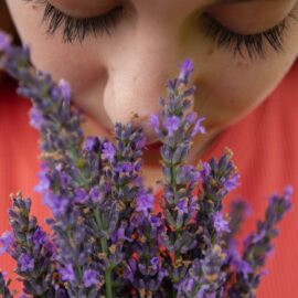 The 4 Best Multisensory Learning Techniques for Memory