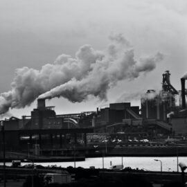 Define Environmental Degradation: Real-Life Examples