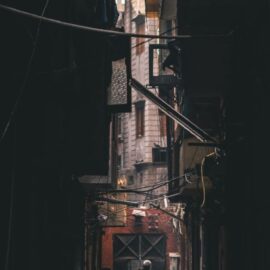 The Lee Thesis: Does Authoritarianism Help the Poor?