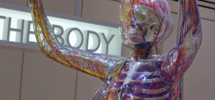 Are You a Survival Machine? Evolution Says Yes Are You a Survival Machine? Evolution Says Yes