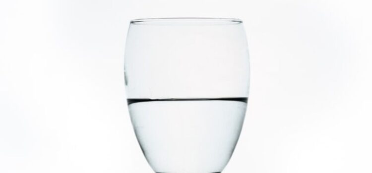 Loss Aversion Bias: Serving the Glass Half-Empty Loss Aversion Bias: Serving the Glass Half-Empty