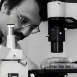 The Problem With Logical Positivism