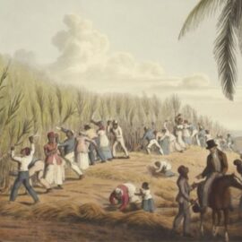 Race and Socioeconomic Status: How It All Started