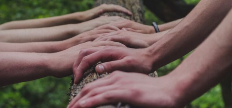 The Key to Cooperative Relationships: Remove Bias The Key to Cooperative Relationships: Remove Bias