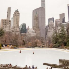 Trump and the Wollman Rink: Persistence Pays Off