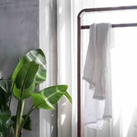 The Way of the Essentialist: Living a Clutter-Free Life