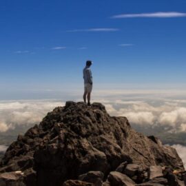 Peak Book Questions: Become an Expert