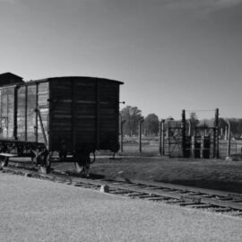 The Tattooist of Auschwitz Discussion Guide