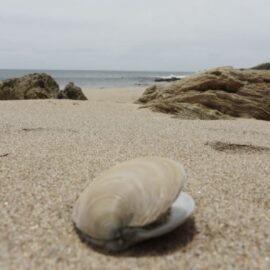 The 2 Types of Habits That Can Change Your Life