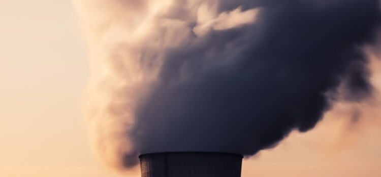 The Circular Economy Model: Is It Bad for Business? The Circular Economy Model: Is It Bad for Business?