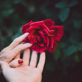 Slow the Aging Process: 3 Pillars of Lifelong Vitality