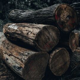 What Causes Trust Issues? Dishonest Marketing