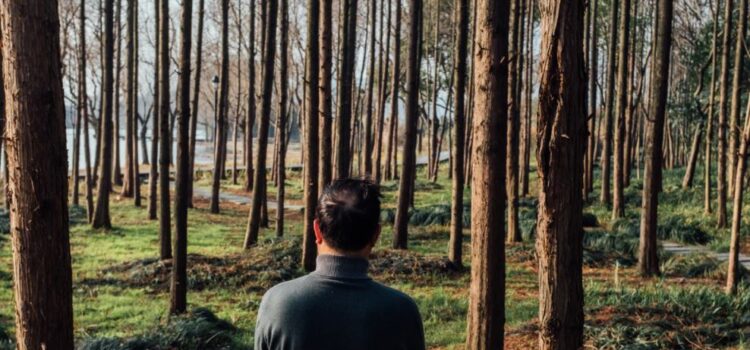 The Sacred Pause: Stop Running From Your Shadow