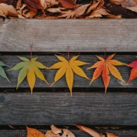 Symbolism of Seasons in Literature: Explained