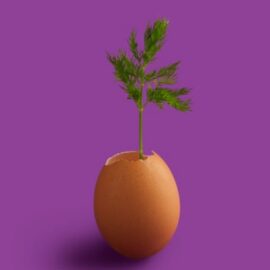 The Top 3 Myths of Innovation—Debunked
