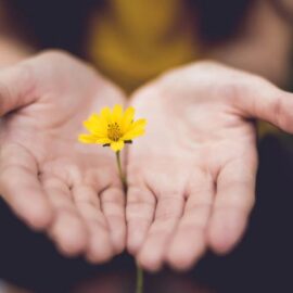 Good Values to Have vs. Destructive Ones: How to Pick