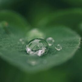 The Supreme Good of Taoism: Explained