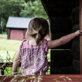 Fever 1793: Mattie Finds Nell and Her Own Purpose