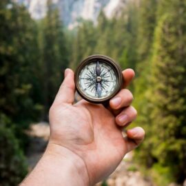 Finding Purpose in Life—Flow Isn’t Everything