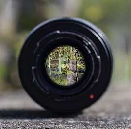 Increase Focus by Training Yourself With Mental Models