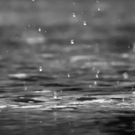 Environmental Effects of Acid Rain: The Tense Debate