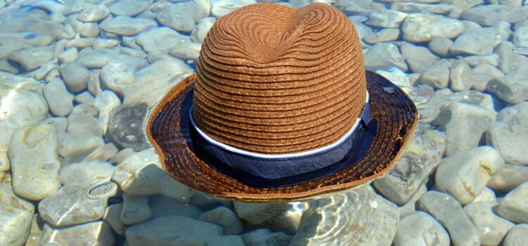 The Man Who Mistook His Wife for a Hat: Dr. P’s Case The Man Who Mistook His Wife for a Hat: Dr. P’s Case
