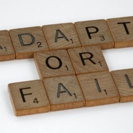 Adaptive Interventions in Leadership: Adapt or Fail