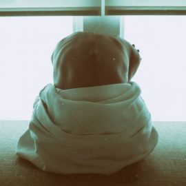 What Is Shame? Brené Brown Explains in Her TED Talk