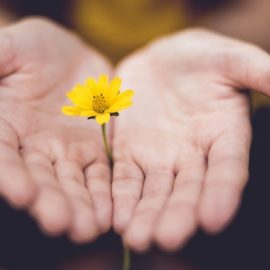 Embrace Grace: How to Be Open Without Seeking