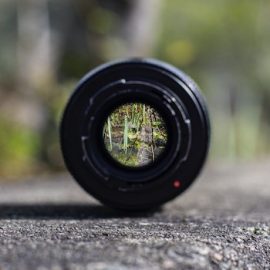 The Top 5 Benefits of Focus in All Aspects of Life