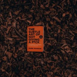 The Subtle Art of Not Giving a F*ck: Review
