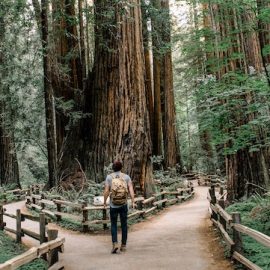 The Road Less Traveled: Scott Peck’s Classic Advice