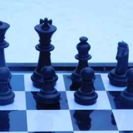 Adaptive Leadership Skills: Do You Have What It Takes?