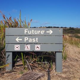 Learn From Your Past With Mental Time Travel