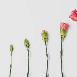 A Leader’s Guide to Managing Resistance to Change