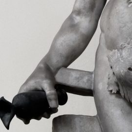 What Male Genital Anatomy Says About Polygamy