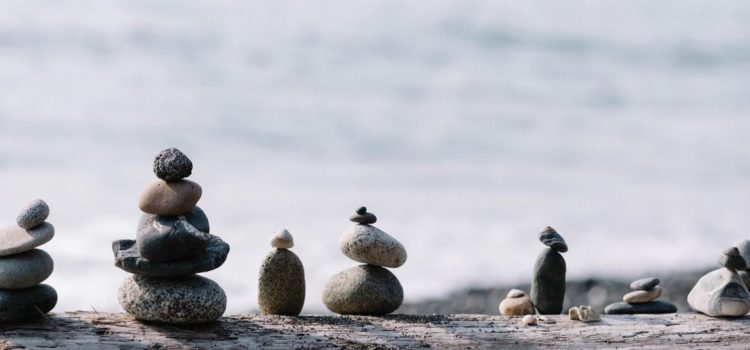 Balanced Leadership: Examples From Jocko Willink Balanced Leadership: Examples From Jocko Willink