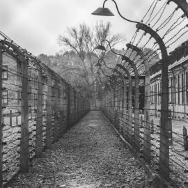 The Nazi Hierarchy Was Inspired by Americans