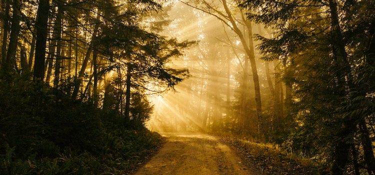 How to Become Enlightened: The 2-Part Process How to Become Enlightened: The 2-Part Process