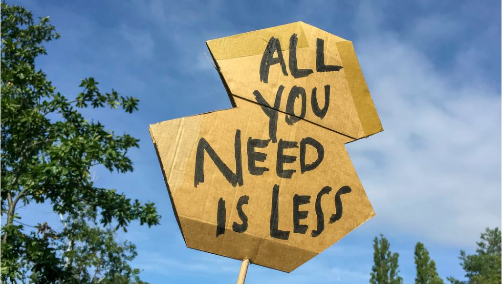 Why More Is Less: The Downsides of Maximizing - Shortform Books