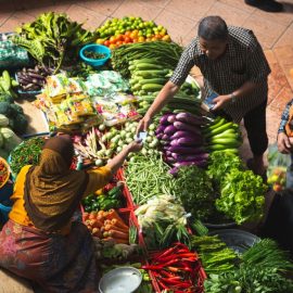 Why Imposed Free-Market Reforms Aren’t the Answer