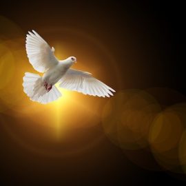 Christian Pacifism and Contrasting Perspectives