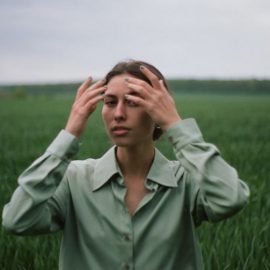 Surrounded by Idiots: The Green Personality Type