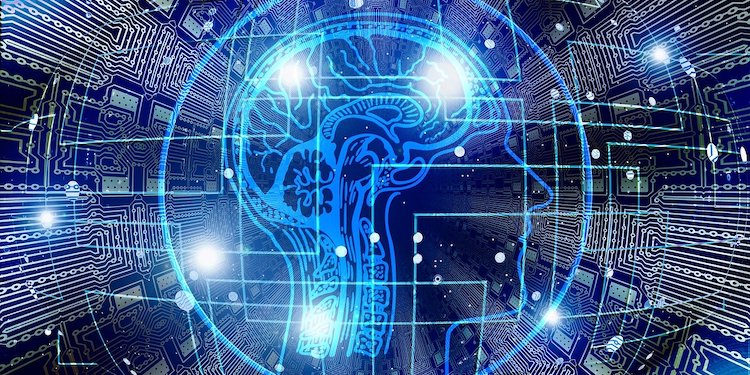 How the Brain Is Like a Computer (+ Examples) - Shortform Books