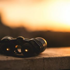 Company Vision Statement: Charting the Future