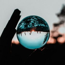 Perceiving Reality: We All Use a Distorted Lens