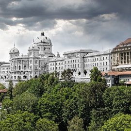 Difference Between Legislative & Executive Branches