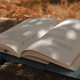 Mastery: Quotes by Robert Greene to Inspire You