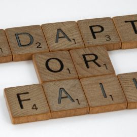 Adapting to Change in the Business Environment: 2 Keys to Flexibility