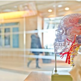 The Importance of Intrinsic Motivation: Neuroscientist Explains